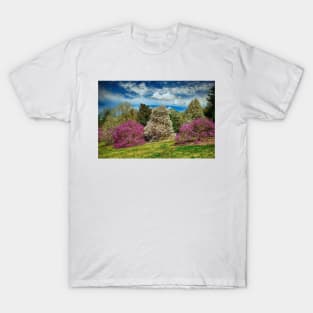 Magnolias In Bloom T-Shirt